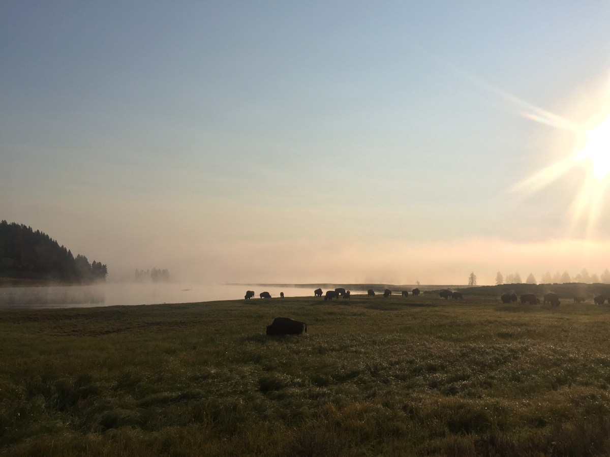 Yellowstone National Park: Day&nbsp;4