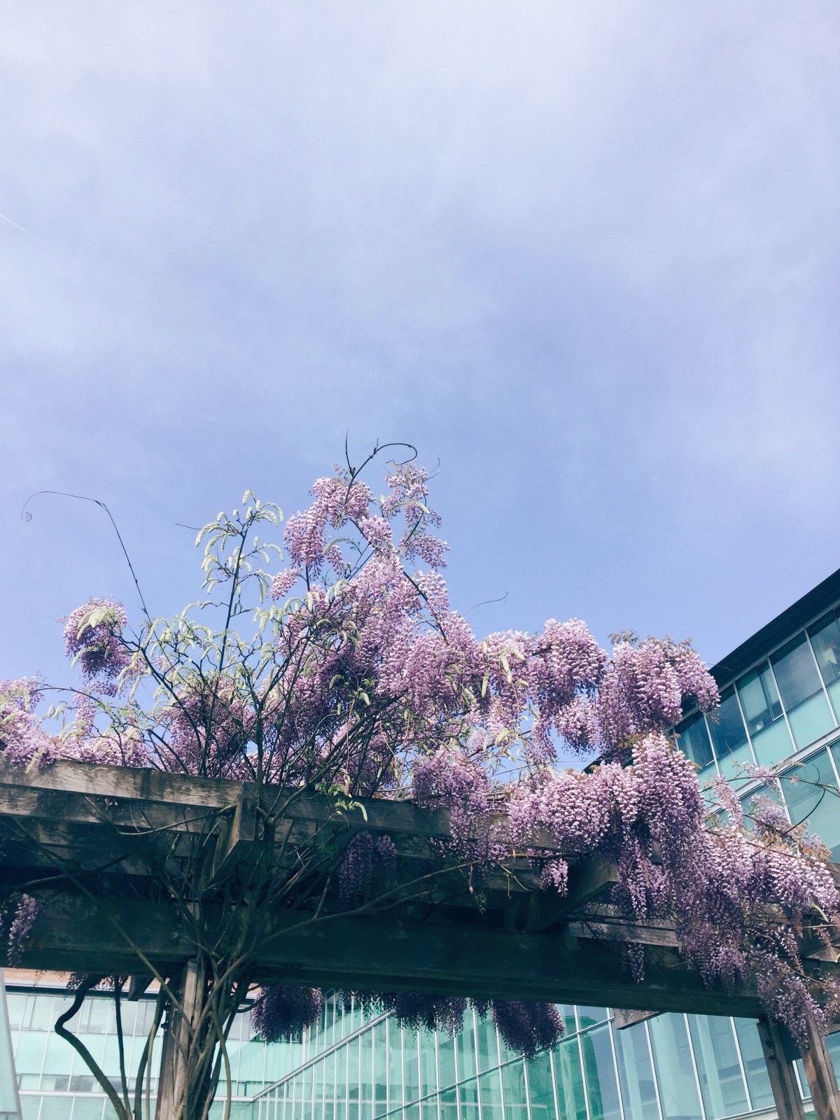 Spring in Seattle –&nbsp;2018