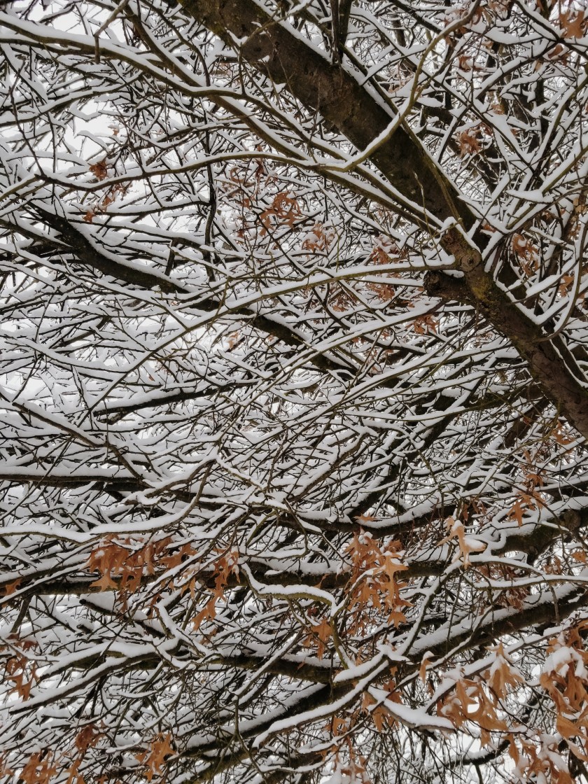 2019-02-09 01.17.40 1.jpg