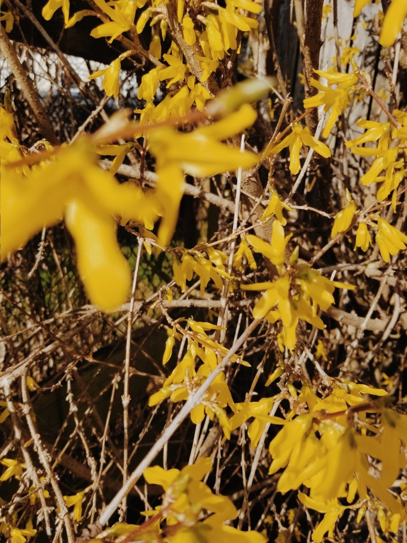 2019-03-23-05.06.52-1