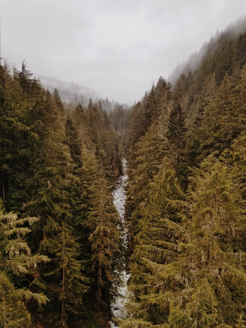 2019-03-24-11.49.25-2