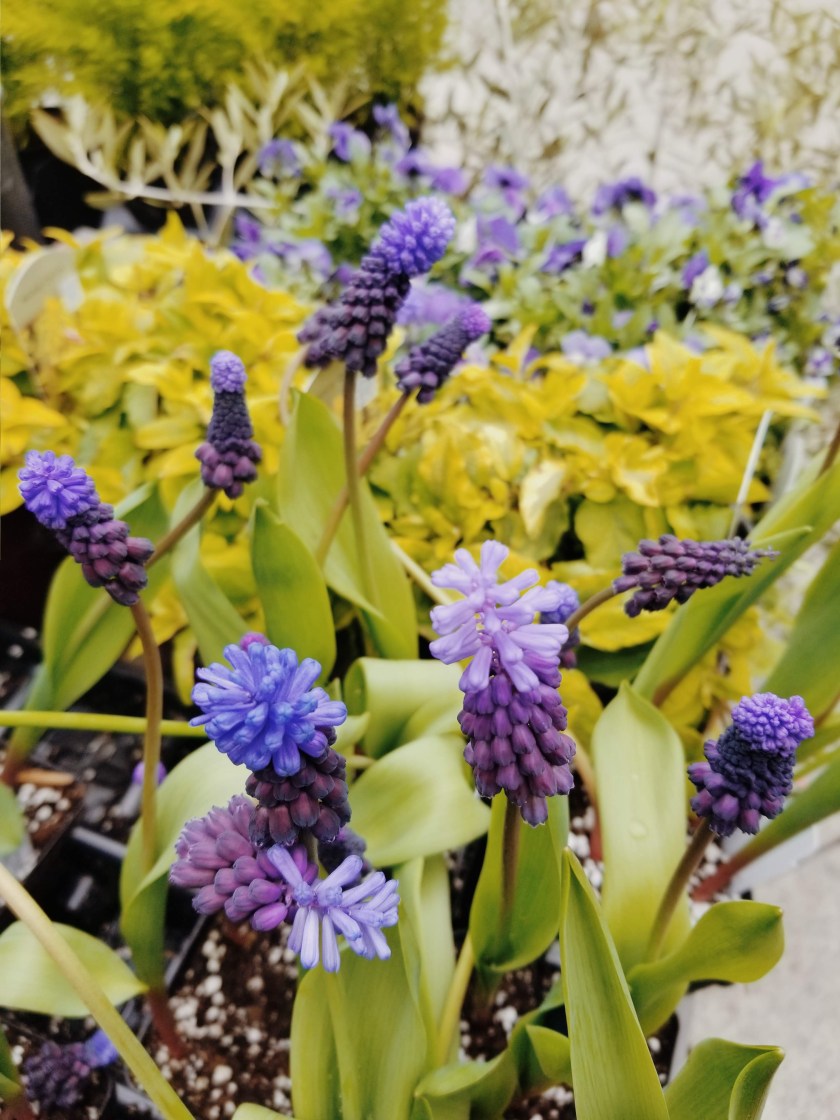 1969-12-31-04.00.00-21