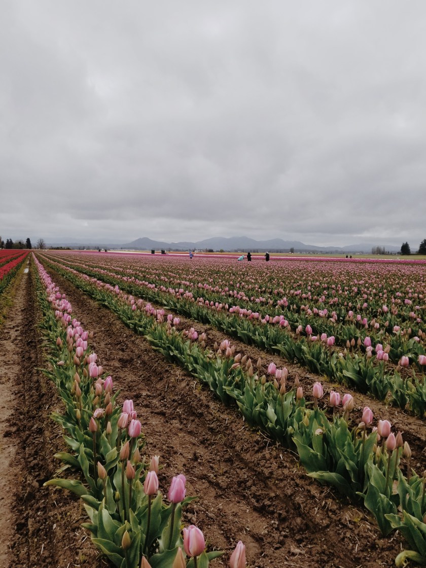 1969-12-31-04.00.00-79