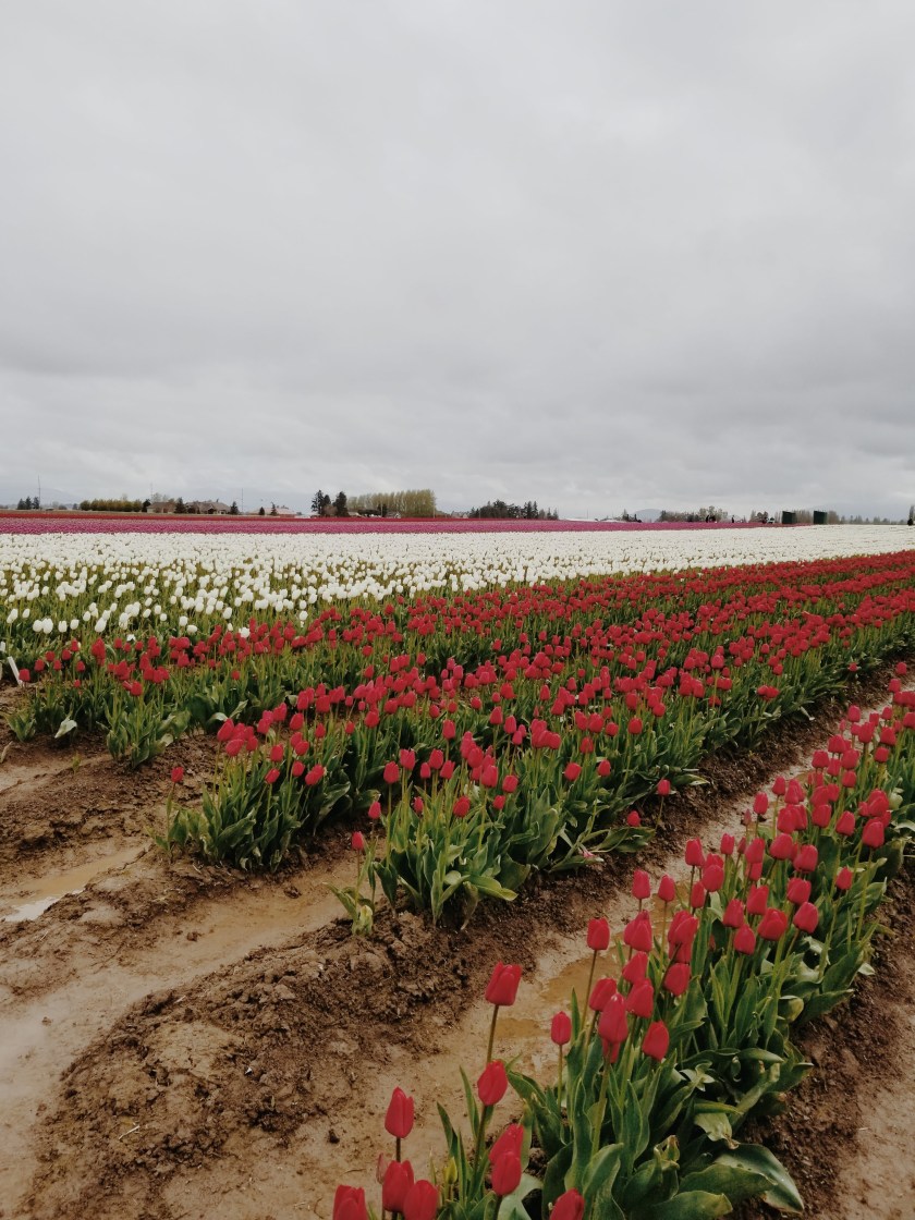 1969-12-31-04.00.00-83