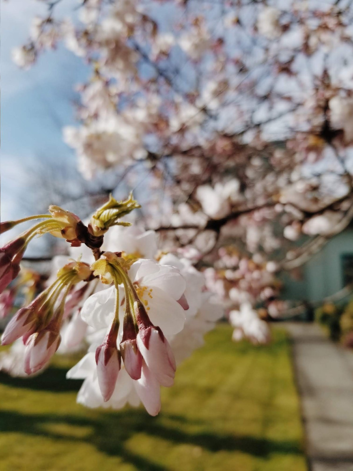 Lent 2018- A Time of&nbsp;Fasting