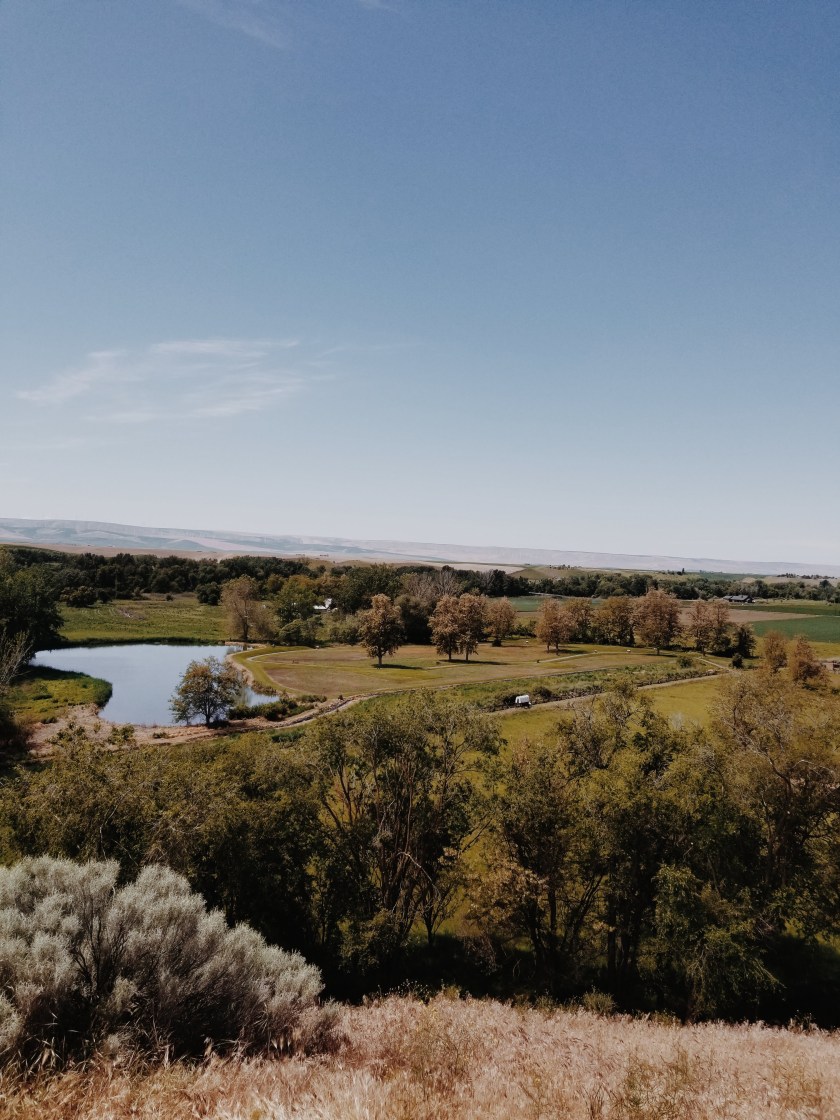 2019-05-25-12.08.57-1