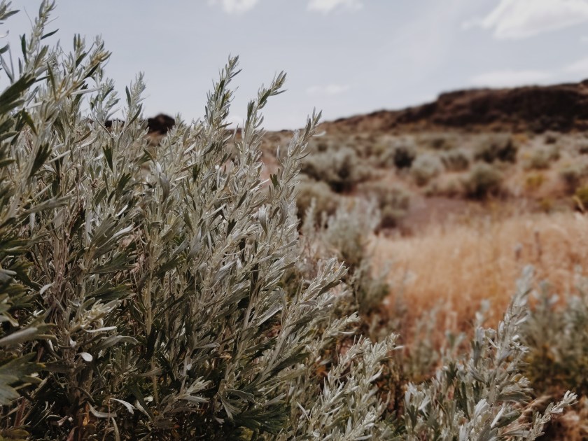 2019-05-27-03.21.33-1