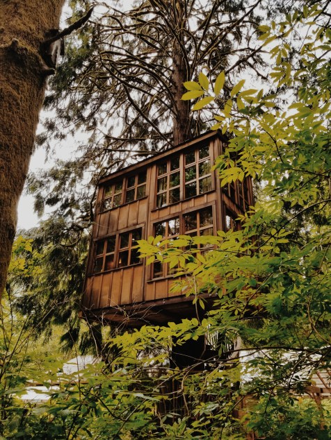 2019-06-14-05.49.59-2