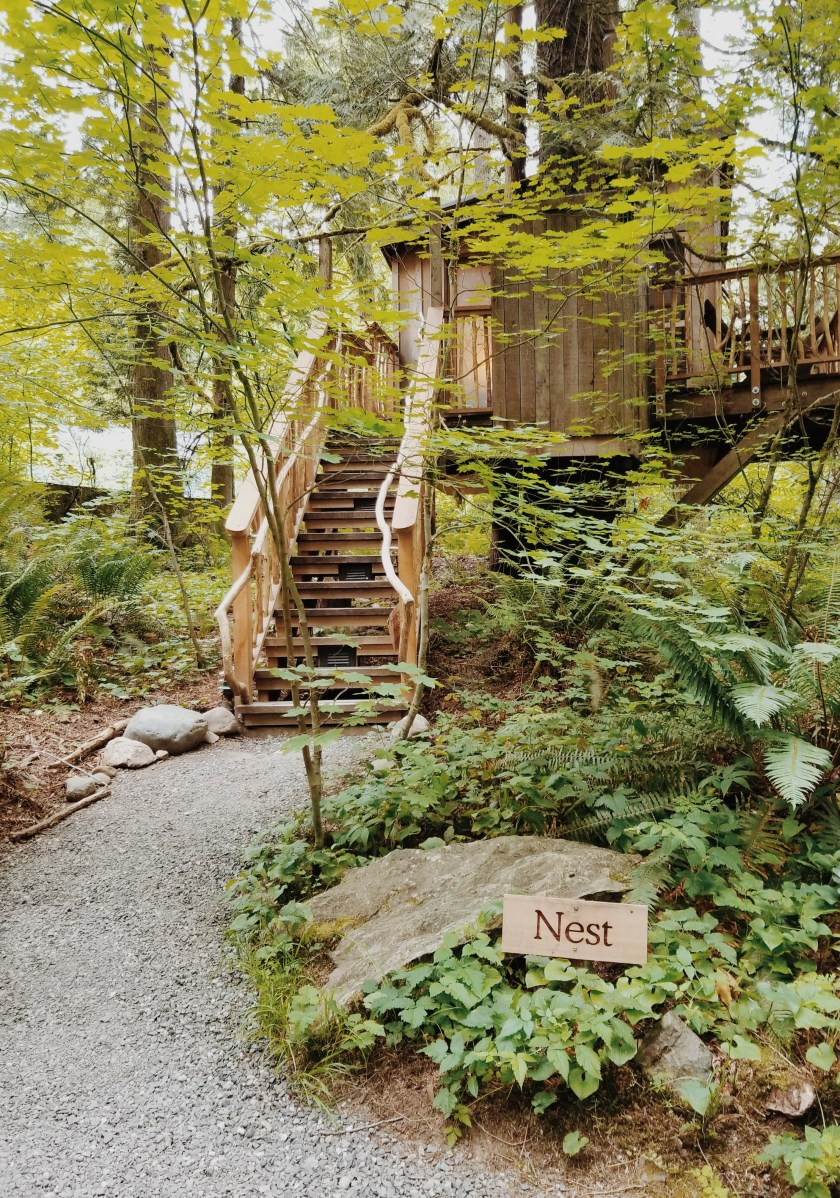 2019-06-14-05.50.00-1