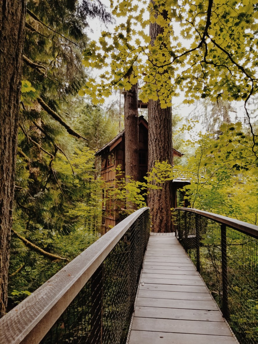 2019-06-15-02.26.31-1