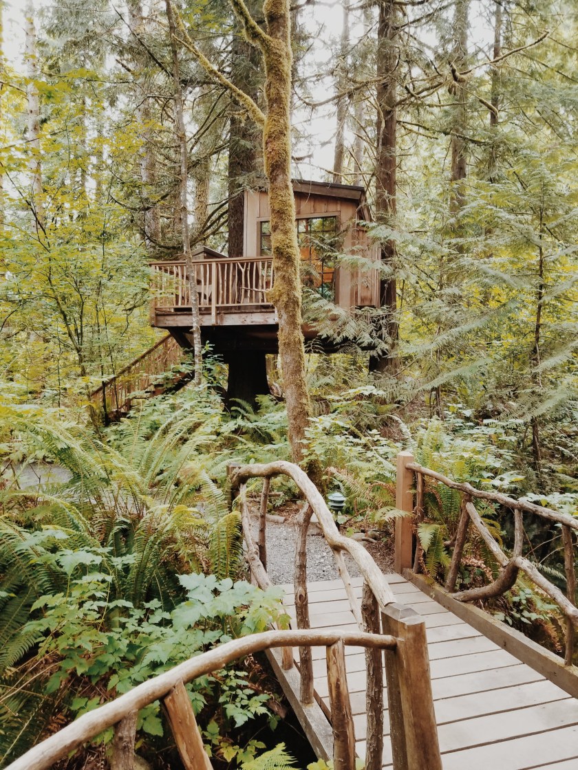 2019-06-15-09.08.22-1