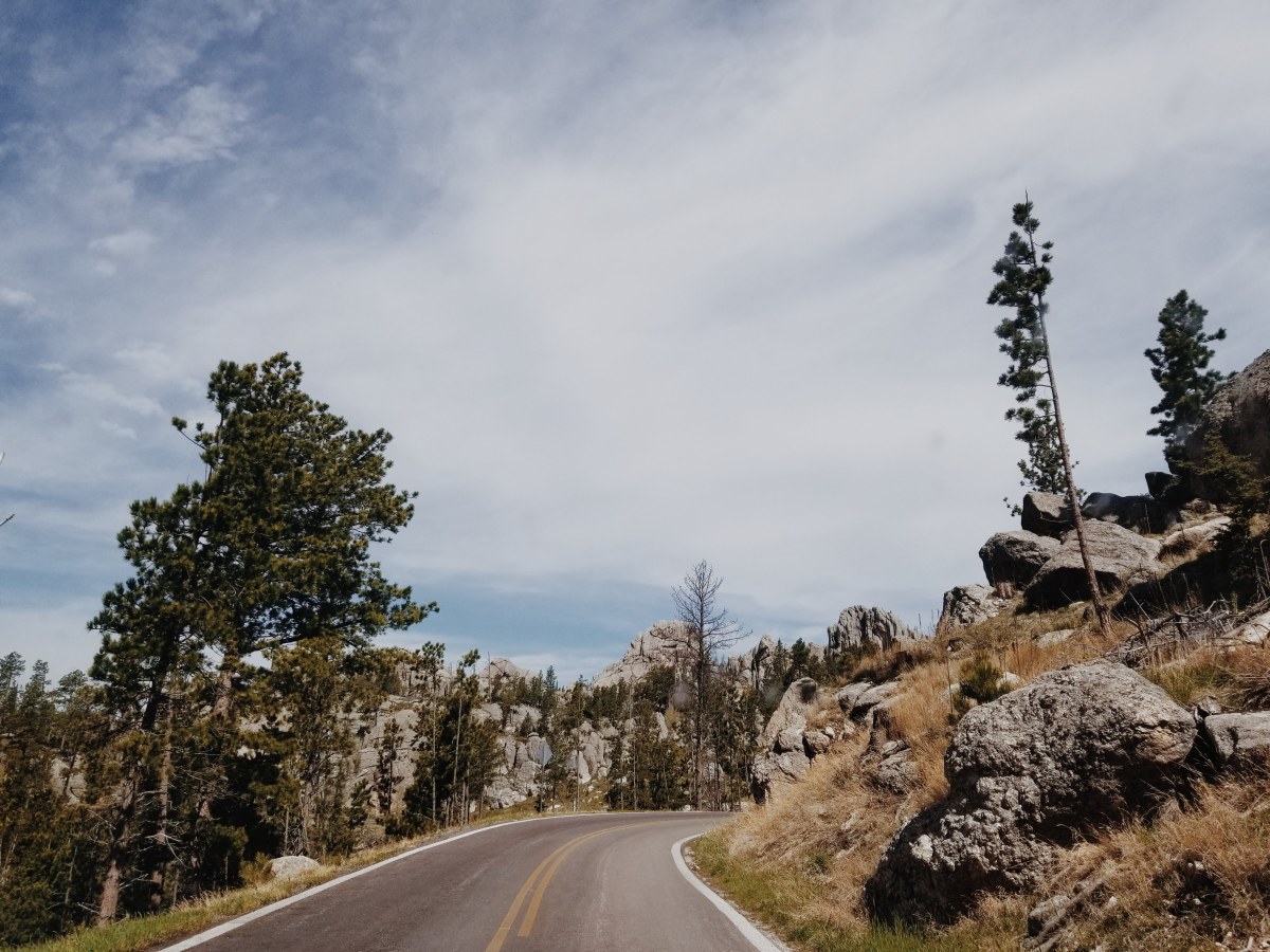 Custer State Park&nbsp;2020