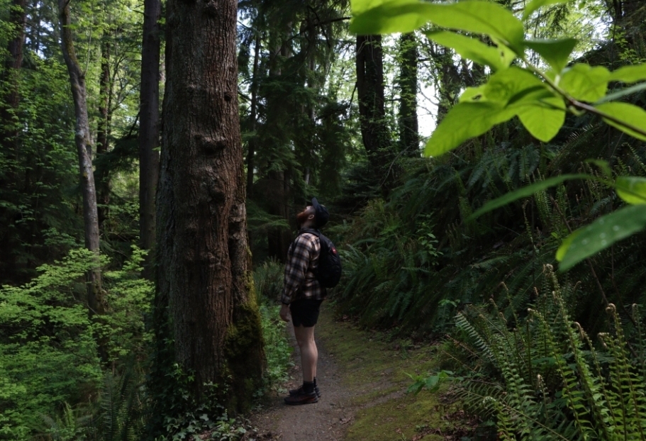 Nature Walk – West&nbsp;Seattle